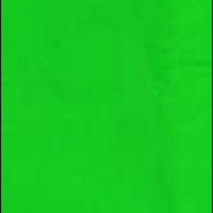 Meet your Posher, Owen